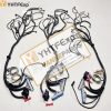 Standalone LS wiring harness GM LS1 VORTEC DBC Manual Trans Wire Swap Car Trucks W4L68E 03-07 4